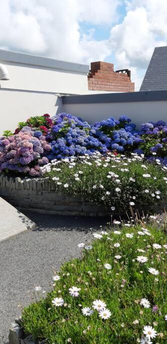 Clairhouse Accommodation Lahinch Exterior foto